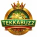 Tekkebuzz Game Image by apk4