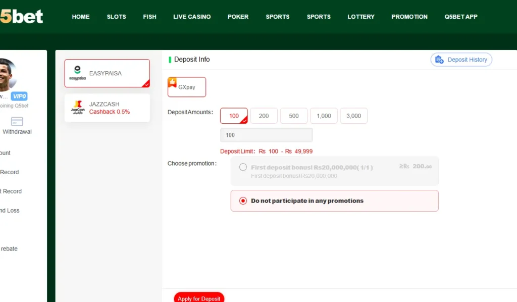 Q5Bet Game Deposit Withdraw Details