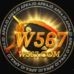 W567 Game Logo