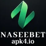 Naseeb Bet Game logo