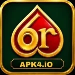 6R Game APK