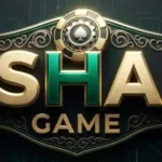 PkShaan Game Logo